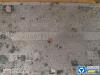 徐工GTJZ1012剪叉式高空作業(yè)平臺